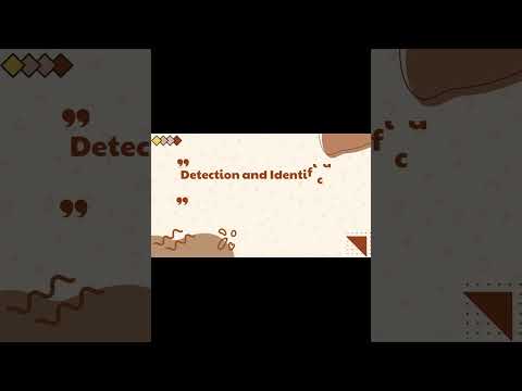 Key Steps of Incident Handling