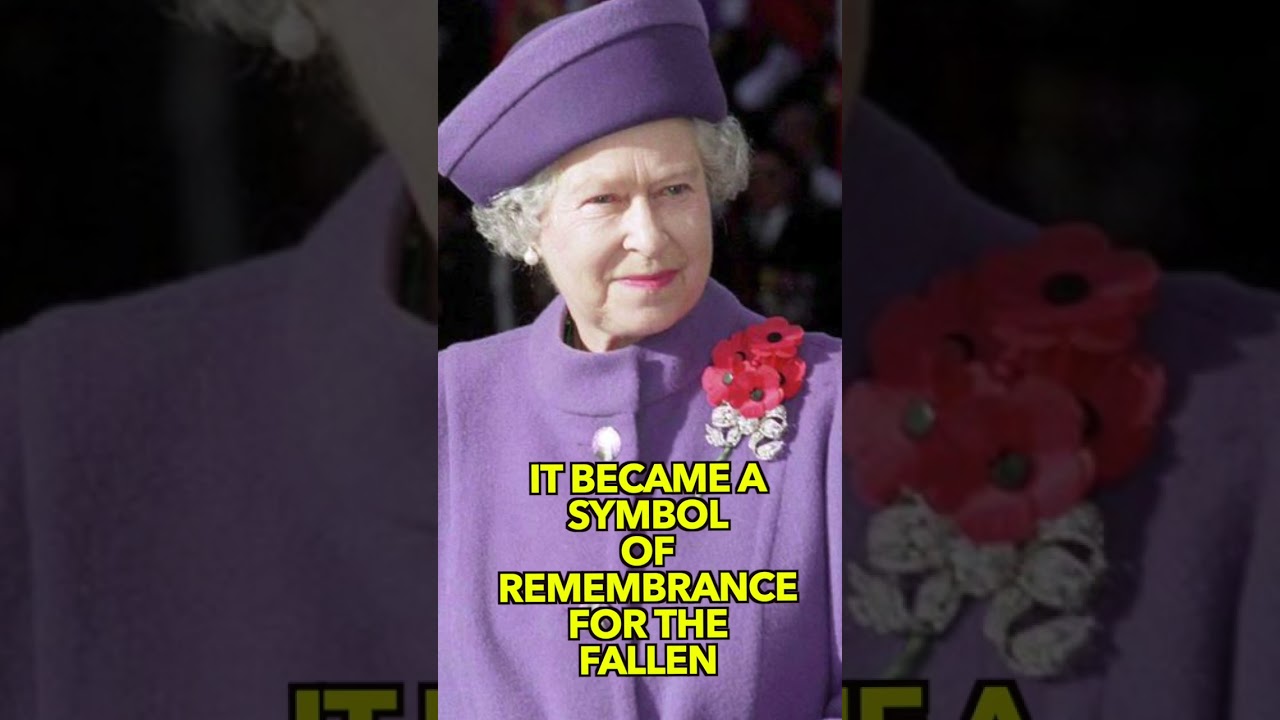 Why Do Brits Wear Poppies on Remembrance Day? π¬π§