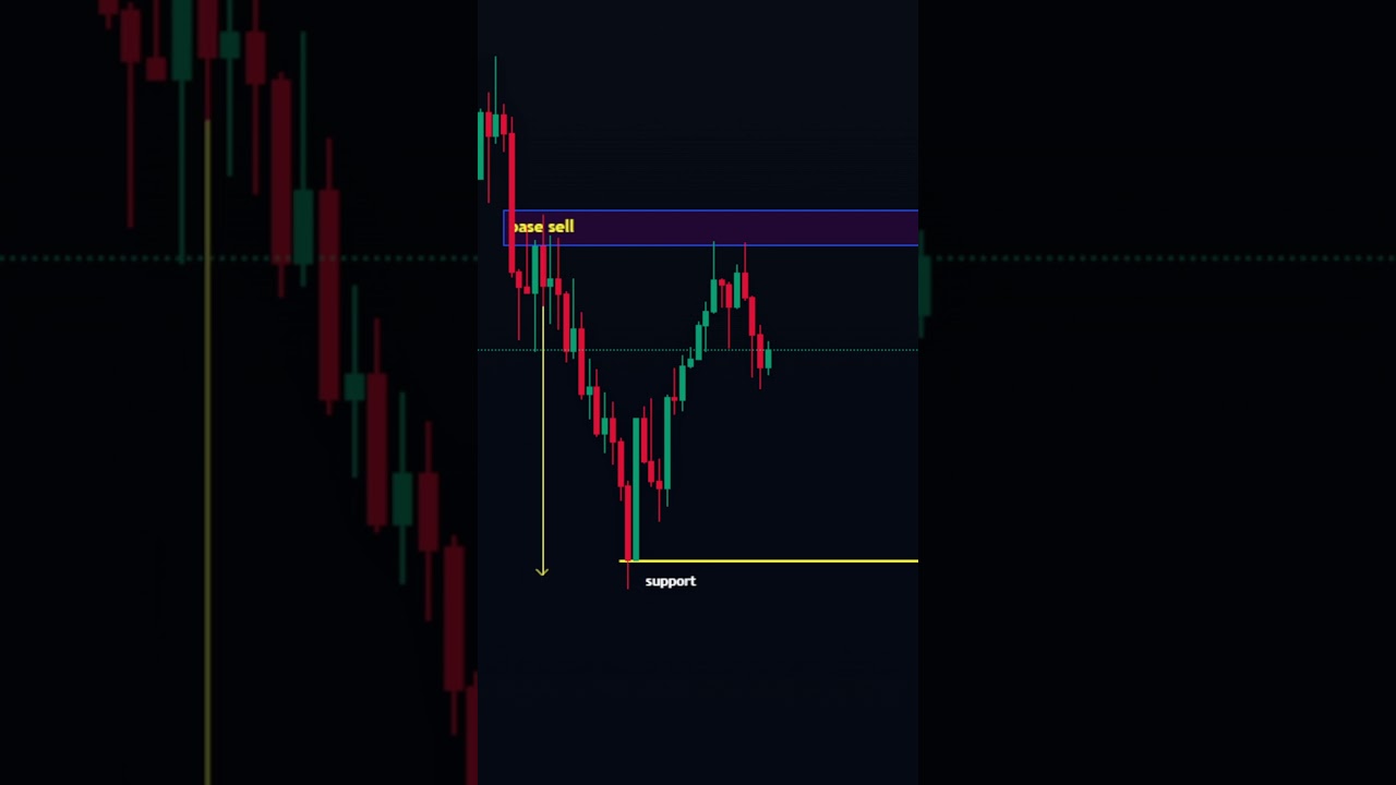 Top Forex Trading Tips for Beginners to Boost Your Success π