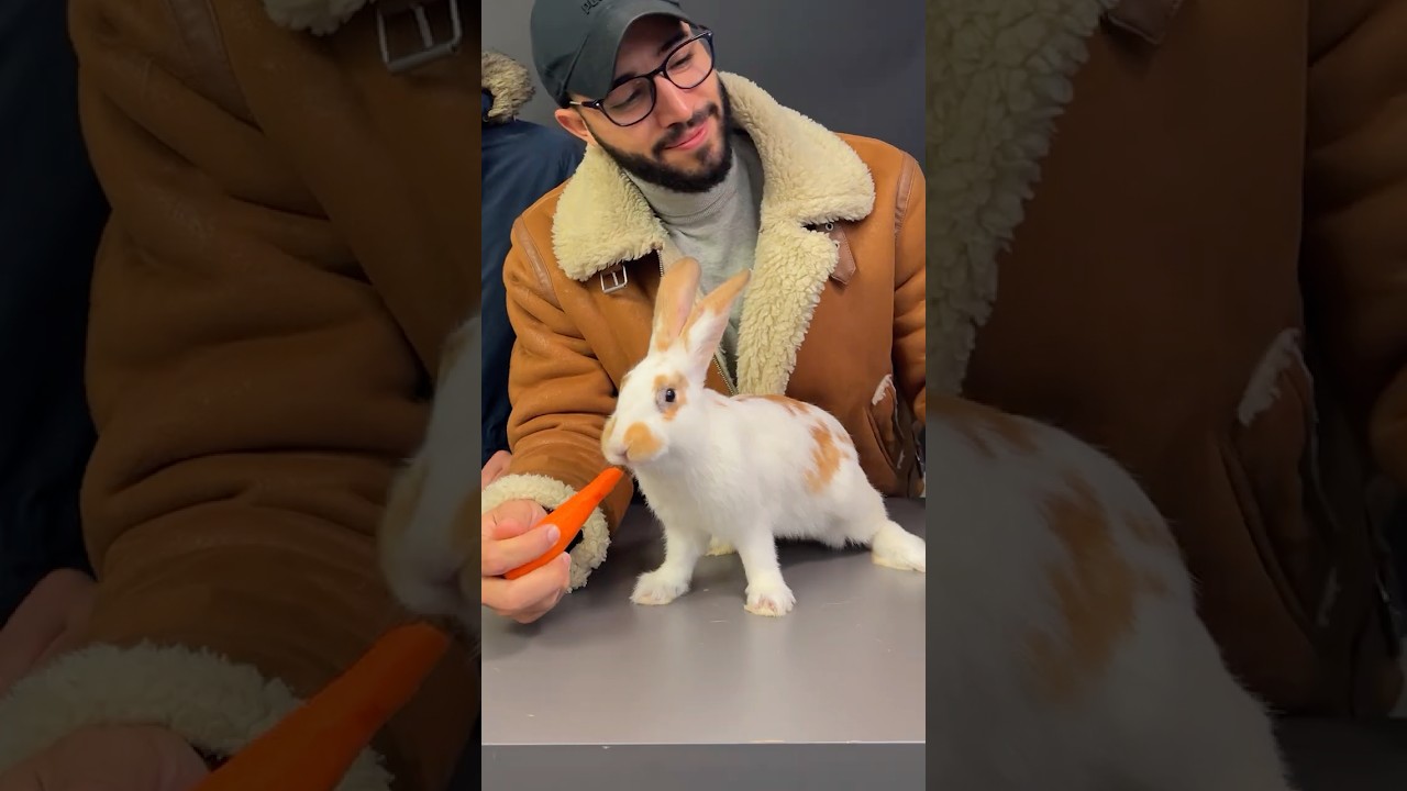 تجربة طبخ فراخ نادرة مع عائلة نور ماجد 🍗