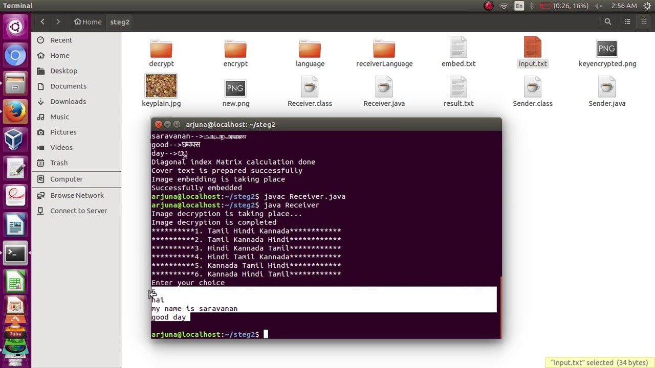 Innovative Image Steganography Technique Using Indian Languages 🇮🇳