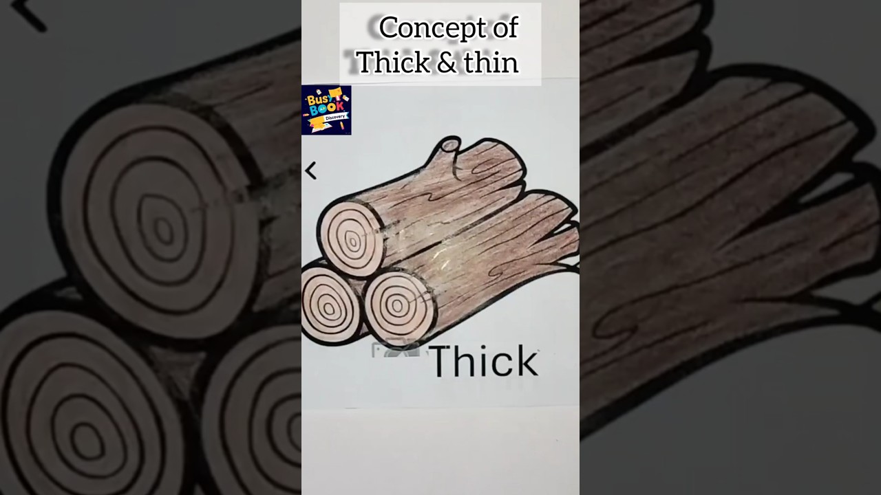 Discover Thick & Thin with Our Fun Activity Book! 📘