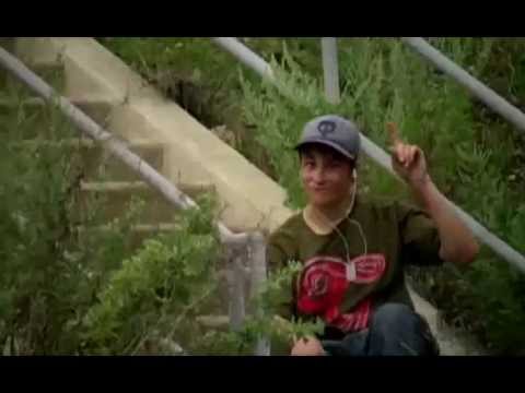 Brett Dasovic | The Birdz & The Beez