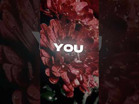 Prinz - Highs & Lows #lyrics I’ll be there for the highs and lows