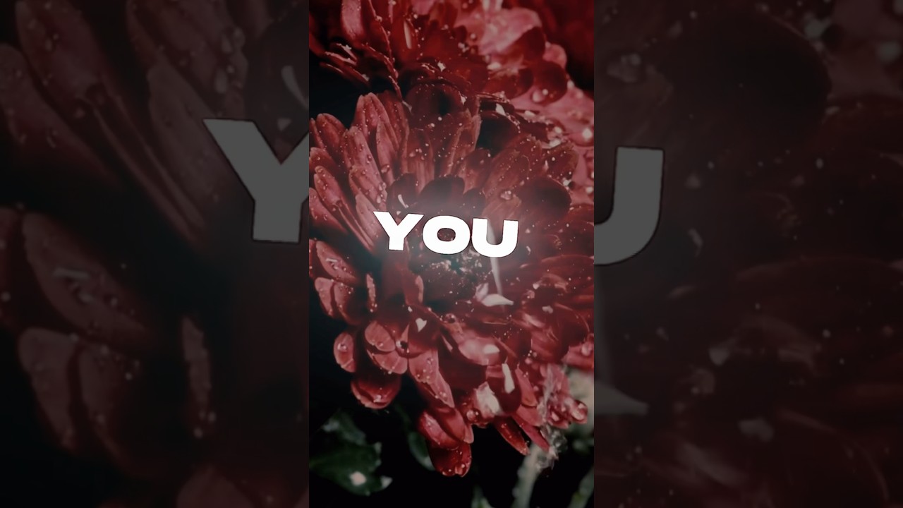 Prinz - Highs & Lows 🎶 Lyrics | I'll Be There for the Ups and Downs