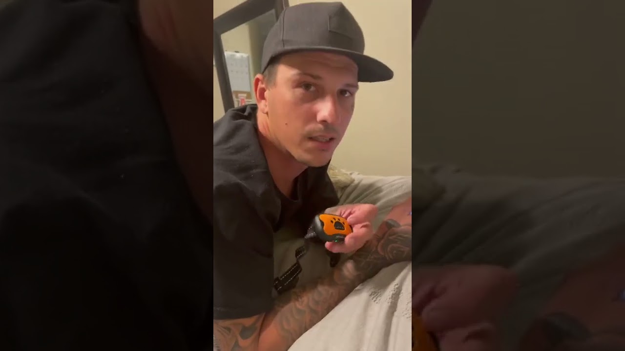 Man Tests Bark Collar Before Using on Dog 🐶