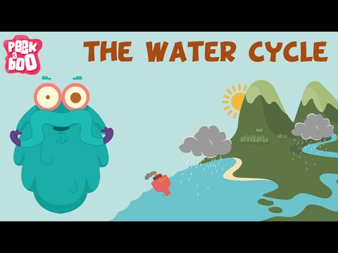 Water Cycle Explained with Dr. Binocs 🌧️