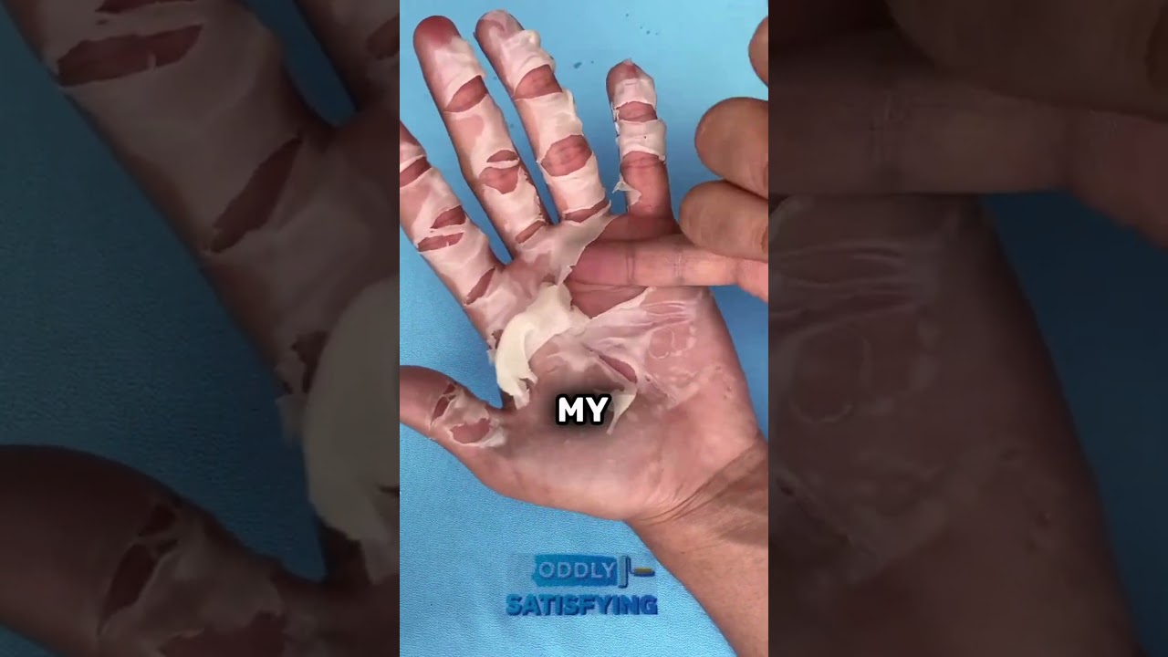 Husnara Siddiqui's Viral Trending Shorts π