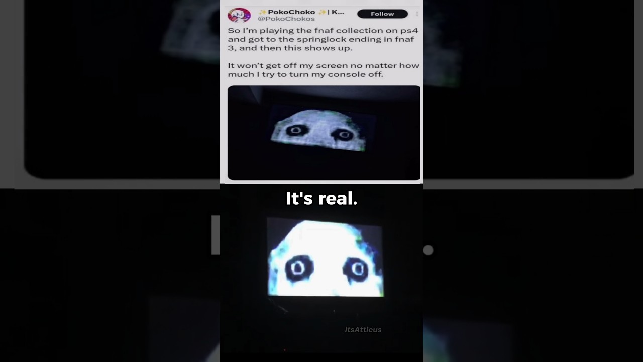 FNAF 3 PS4 Glitch Confirmed 🕹️