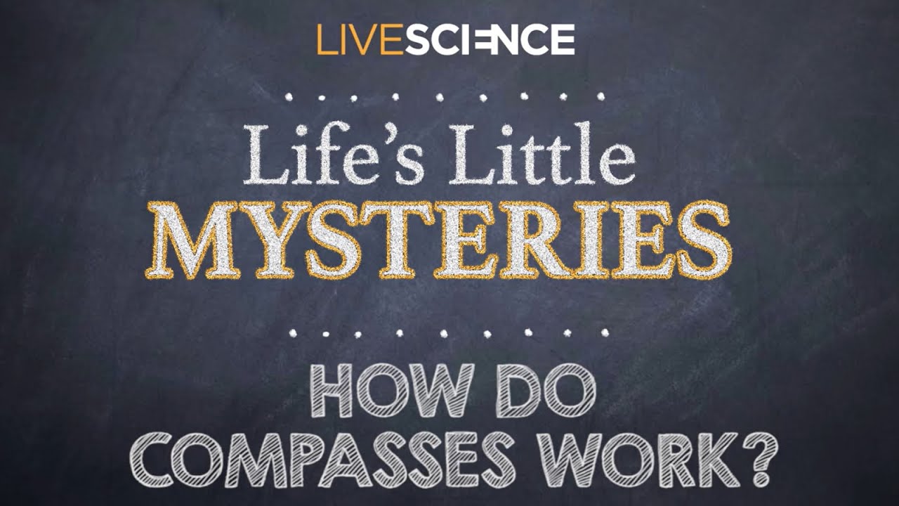 How Do Compasses Work? 🧭