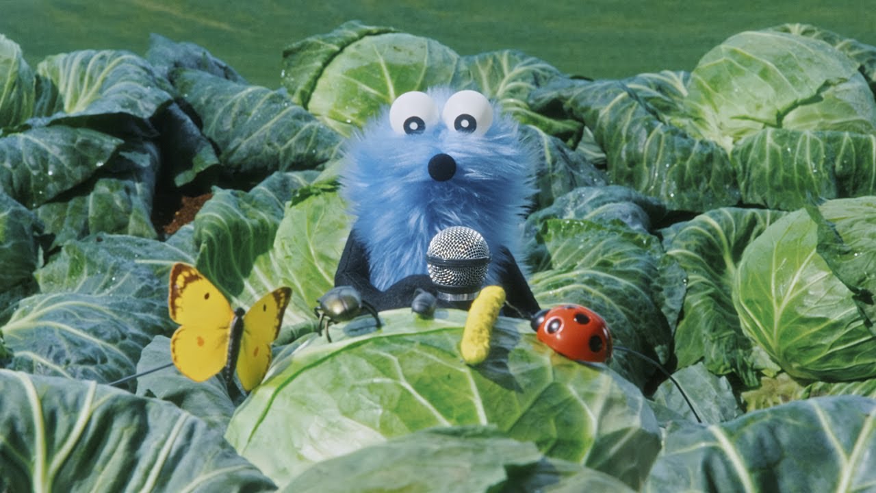 【公式】パペットスンスン第12話「とてと」🌟見逃せない放送＆配信情報