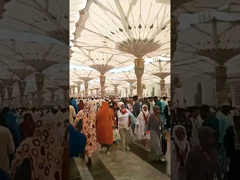 madina live today now 2025