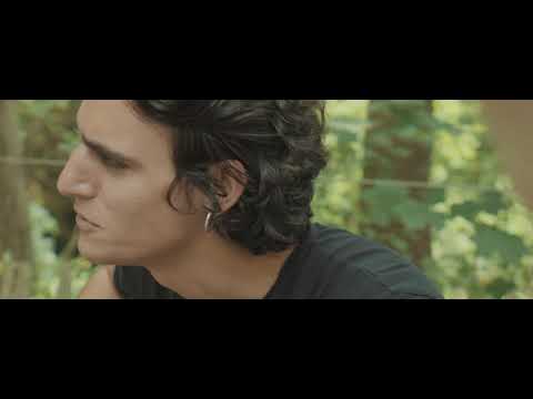 Tamino, Van De Nieuwe Lichting tot Rock Werchter