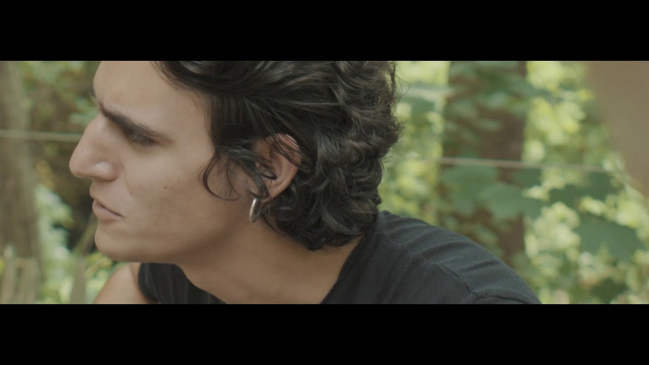 Tamino's Rise: From Nieuwe Lichting to Rock Werchter Headliner 🎸