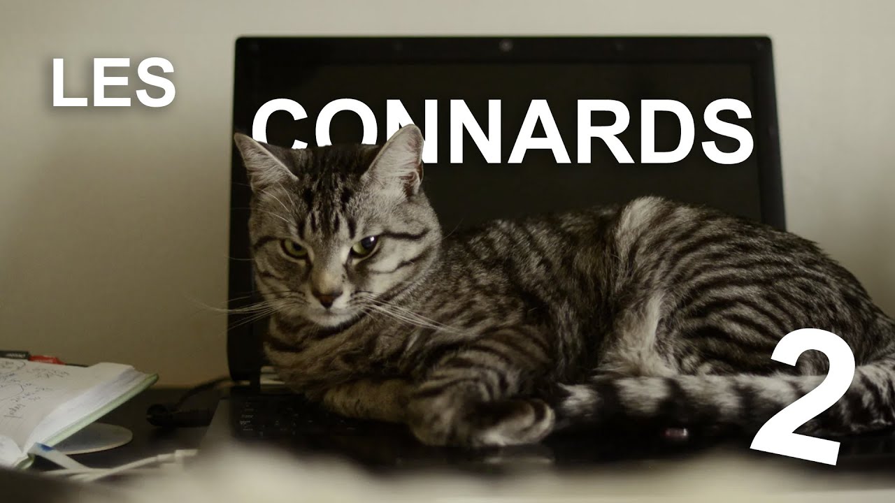 LES CONNARDS 2