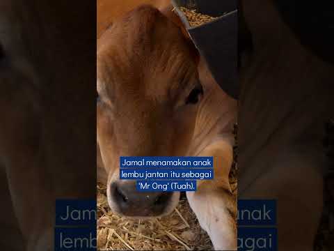 Jamal mahu pastikan 'Mr Ong' terus hidup