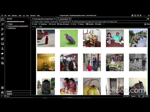 COE476-COE476-Concealing and Revealing Images Via Deep Learning Steganography