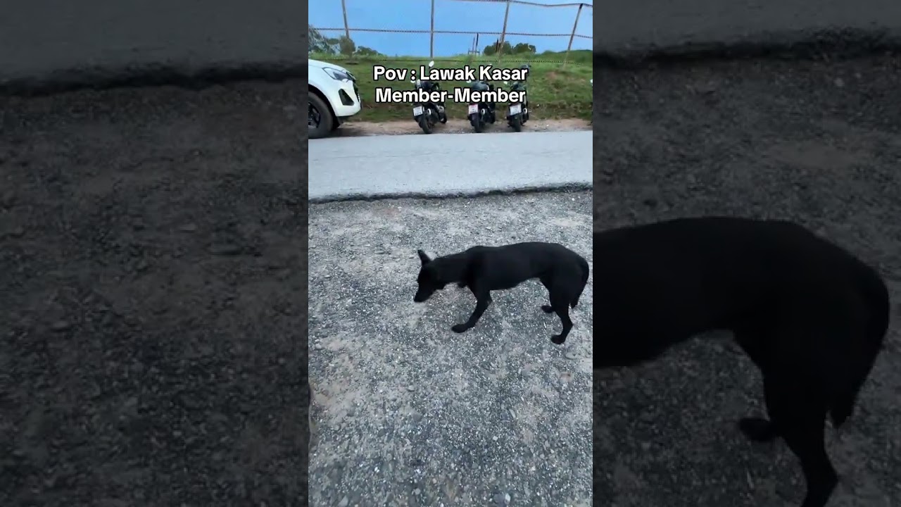 My Camera Gear Setup 📸