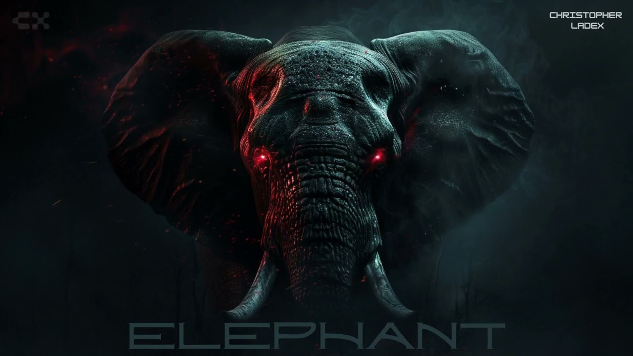 Christopher Ladex Releases New Track 'ELEPHANT' π΅