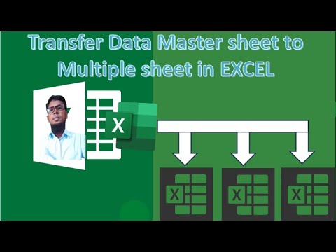 Transfer Excel Data from Master to Multiple Sheets 📊