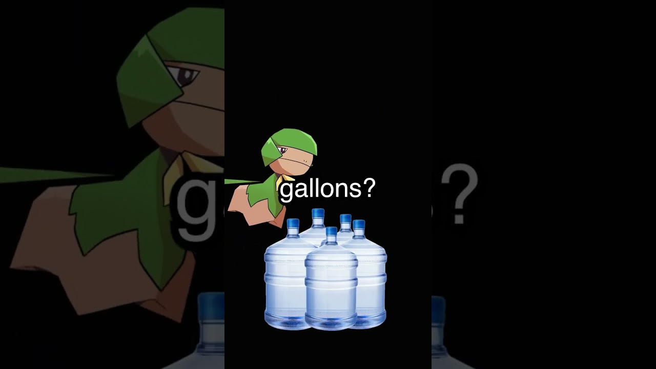 Water Tier List 🌊 | Top Picks & Tips