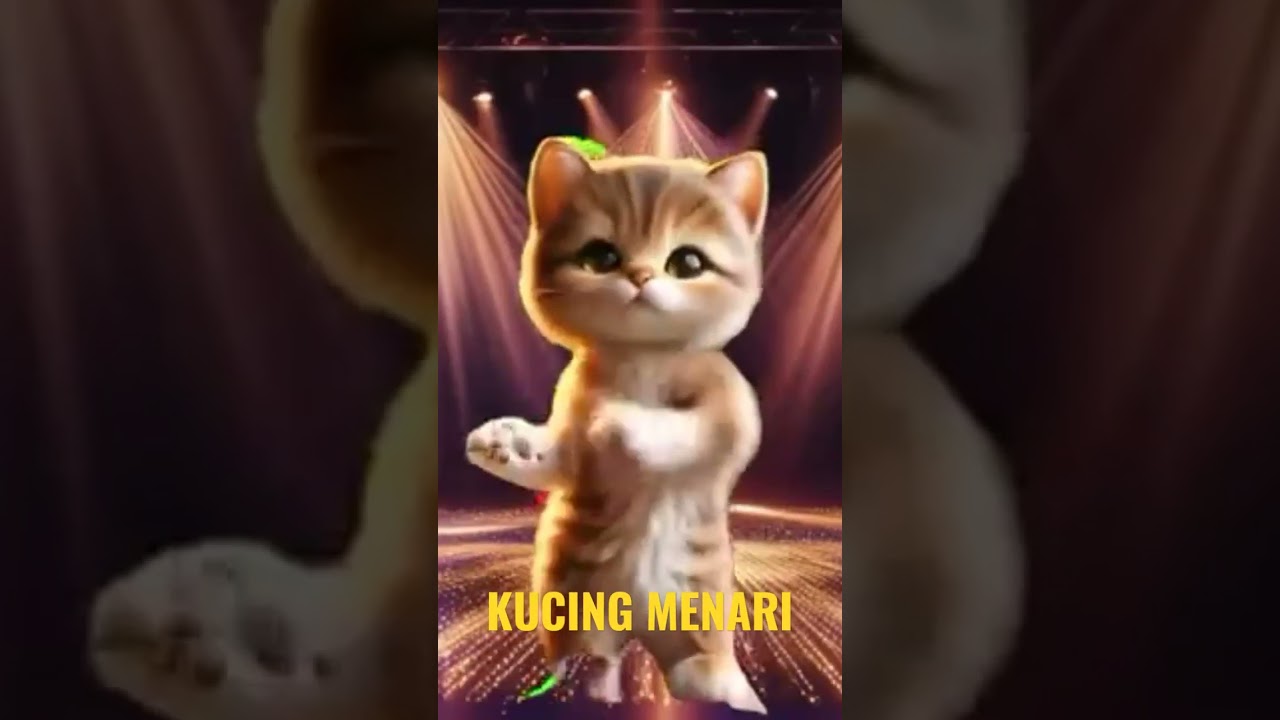 Kucing Menari yang Menggemaskan 🐱