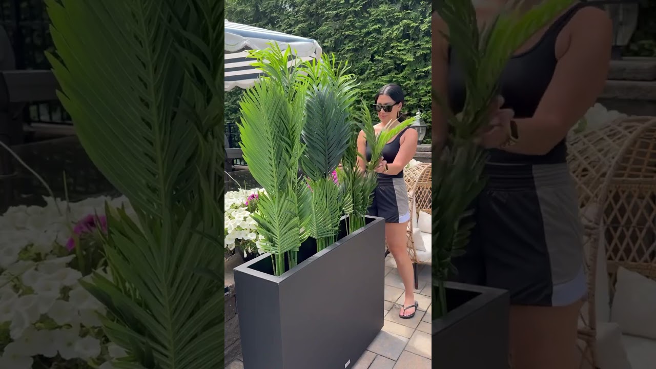 Amazon Privacy Fence Options