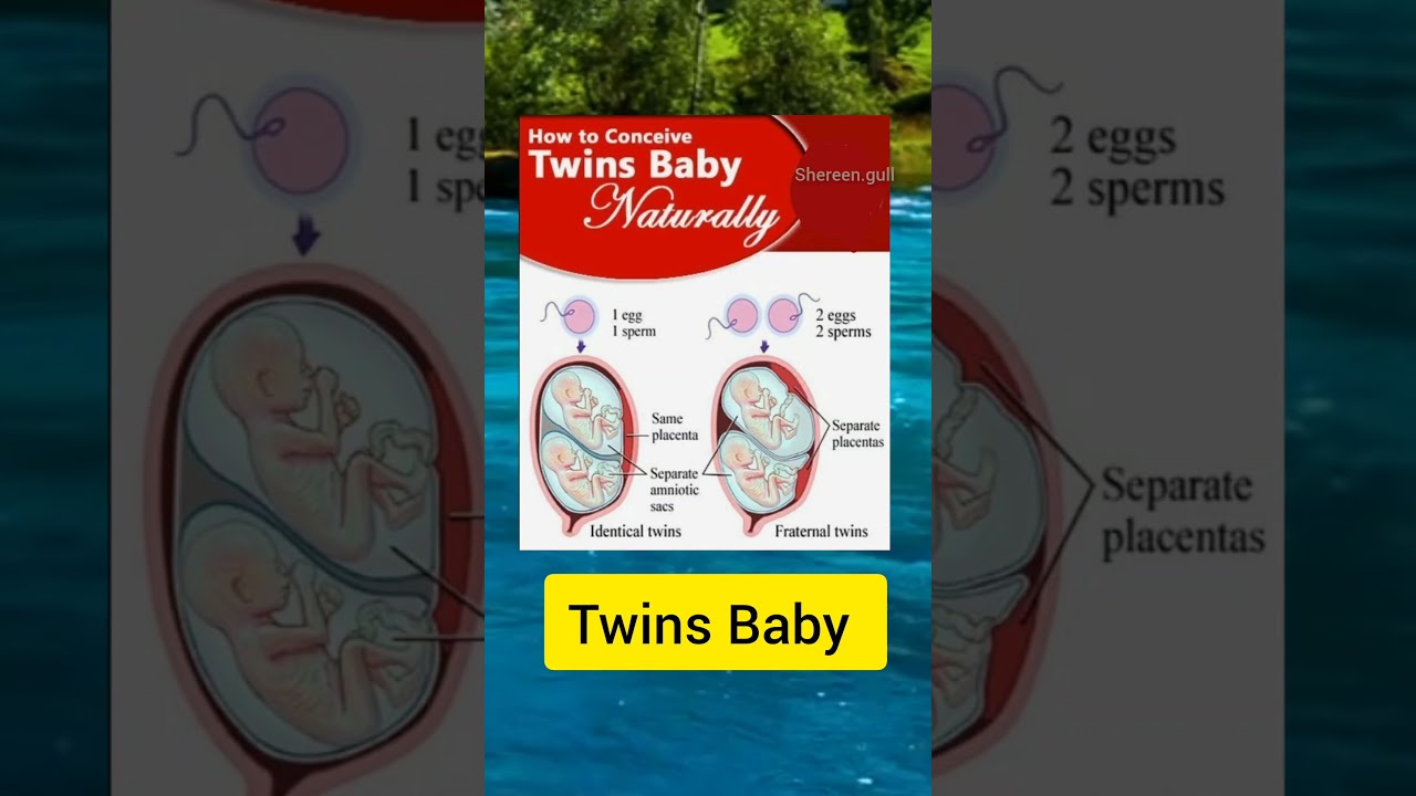 How to Conceive Twins Naturally: Tips and Insights