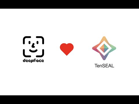 Fully Homomorphic Encrypted Facial Recognition with TenSEAL in Python