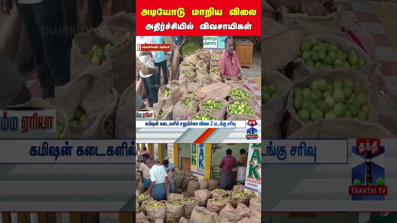 Lemon Prices Drop, Farmers Shocked 🍋