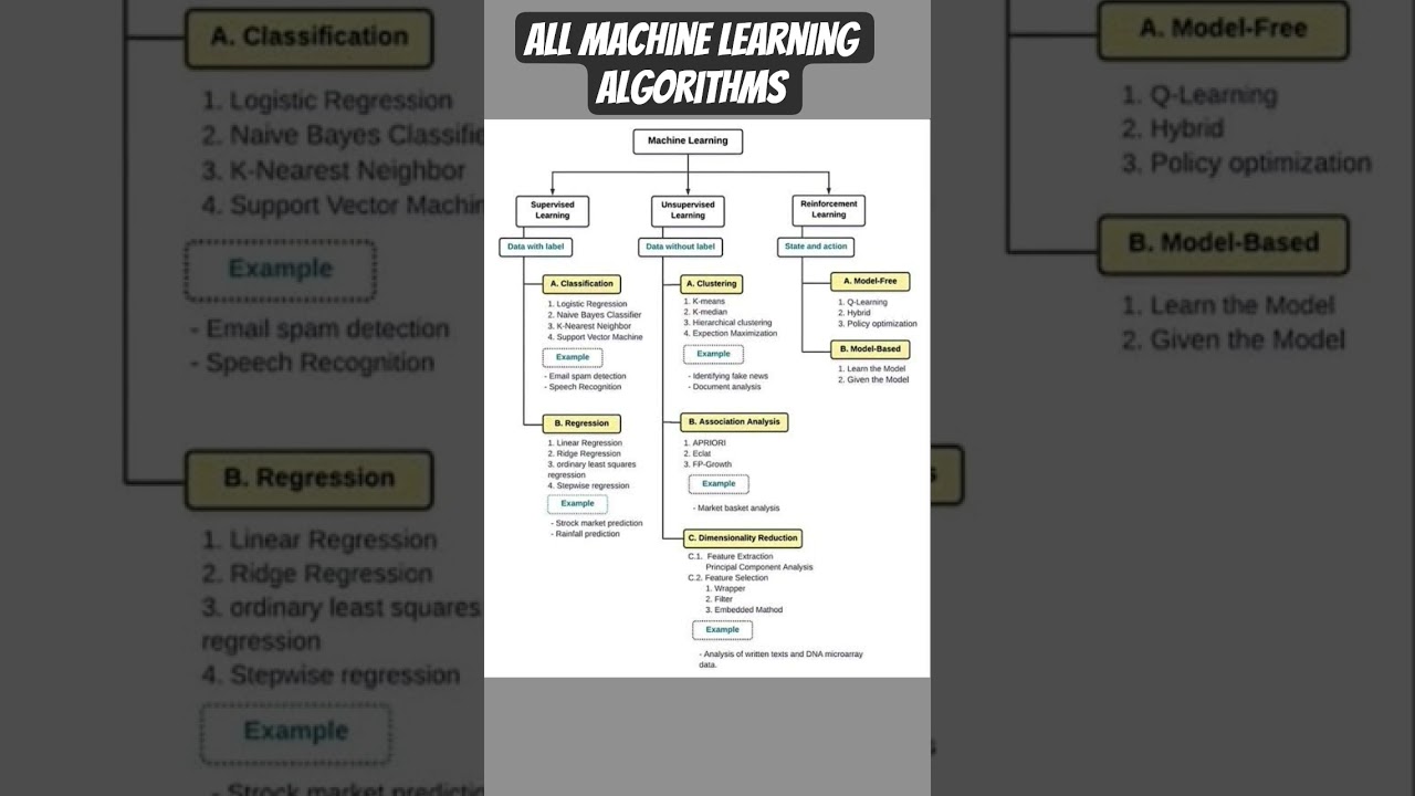 Discover the Key Types of Machine Learning Algorithms 🤖