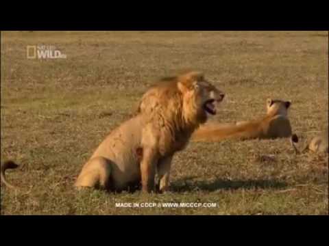 Fokaha 2017: Key Highlights and Insights