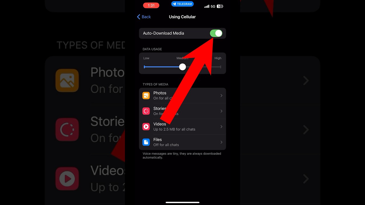 Turn Off Auto Download in Telegram 📱 (2025 Guide)