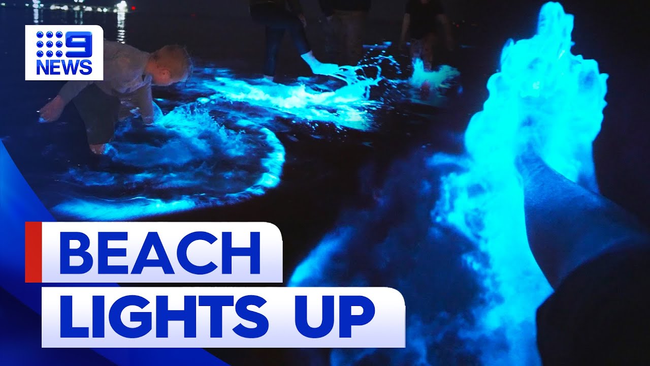 Stunning Bioluminescent Algae Lights Up South Australian Beach ✨