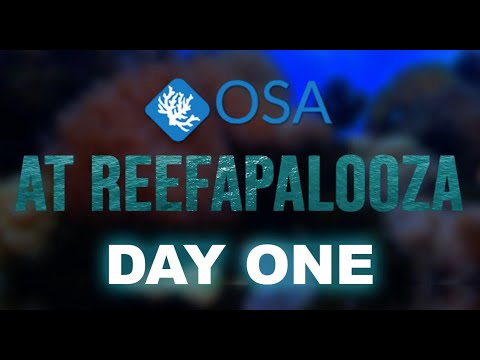 OSA at ReefAPalooza NY 2021 Day 1 🌊