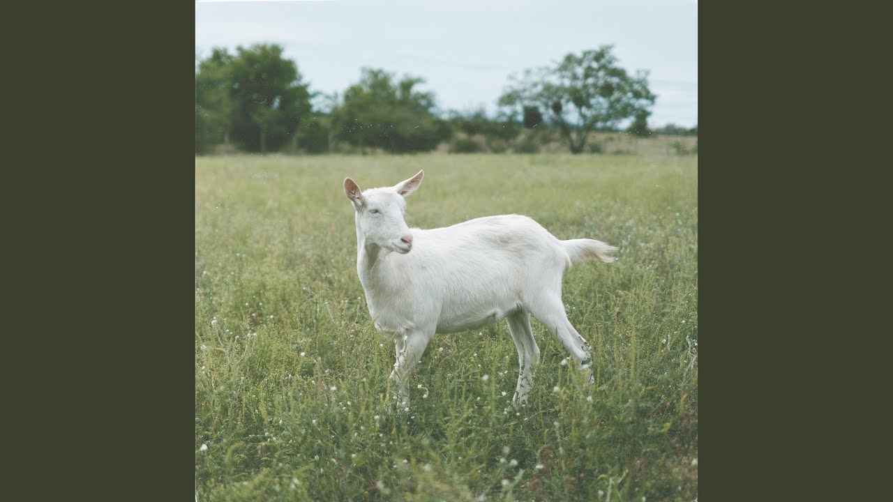 AKC Misi Vivien - Hideg (Official Video) 🎵