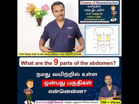 Stomach Pain: Stomach Pain Explained in Tamil | நமது வயிற்றில் உள்ள ஒன்பது பகுதிகள் என்னென்ன