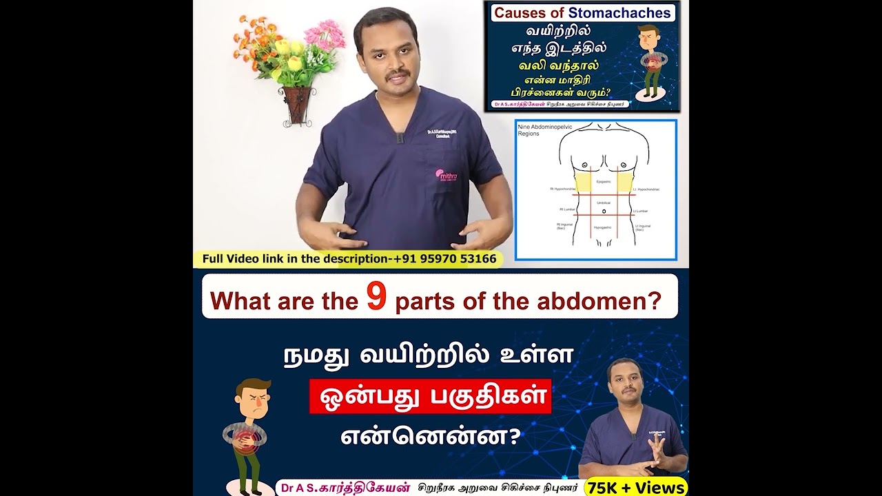 வயிற்று வலி: தமிழில் விளக்கம் மற்றும் 9 முக்கிய பகுதிகள் 🩺