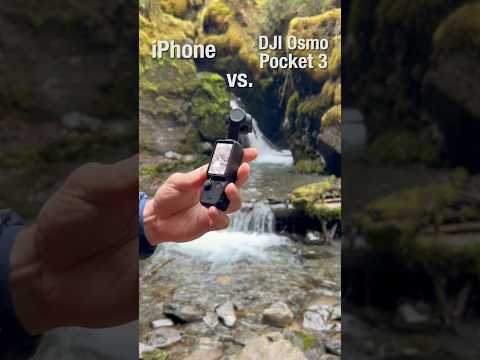 iPhone vs. DJI Osmo Pocket 3: 4K/60fps HDR Video Showdown 📹 #osmopocket3