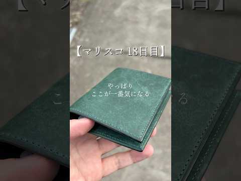 【18日目】レンマ マリスコの使いにくいところ【しかし好き】 #lemma #癒し #革財布 #マリスコ #財布 #fyp