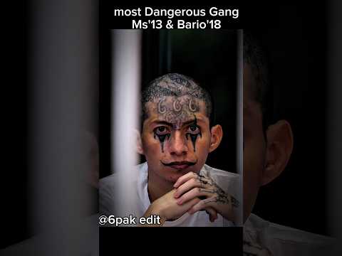 world's Most wanted gang Ms-13 & Bario-18 gang el- salvador Cecot