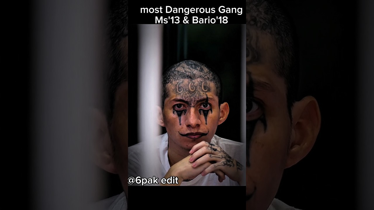 Inside El Salvador's Most Wanted Gangs: MS-13 & Barrio 18 🚨