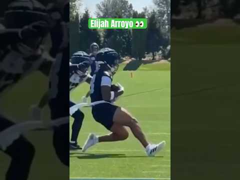 Elijah Arroyo with a sliding catch. #seahawks #nfl