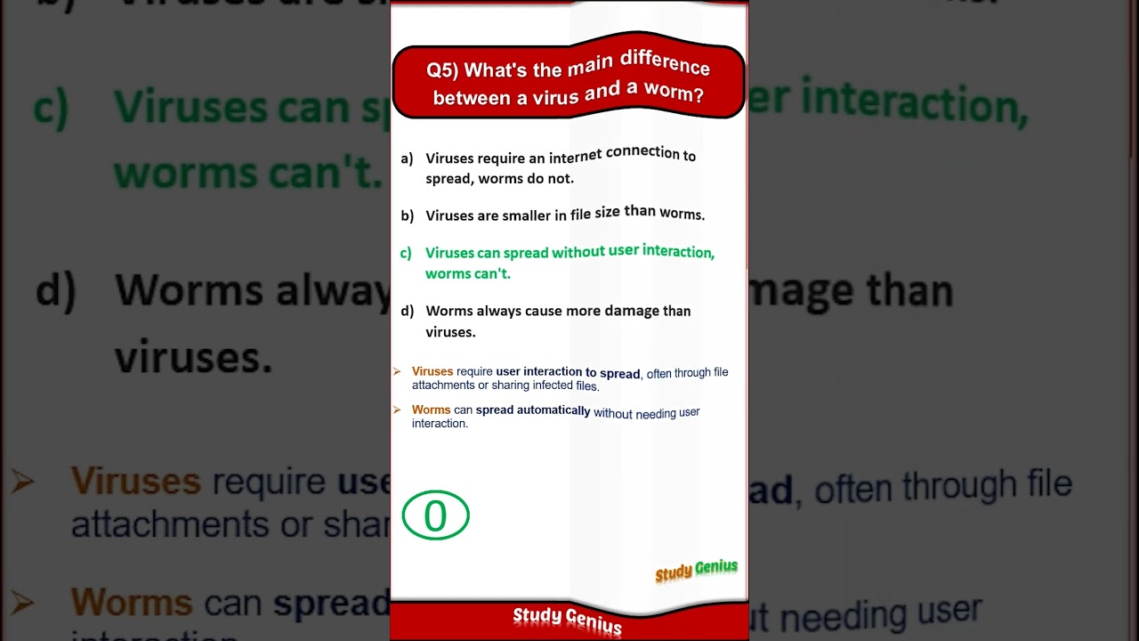 Virus vs Worm: Key Differences You Need to Know 🖥️