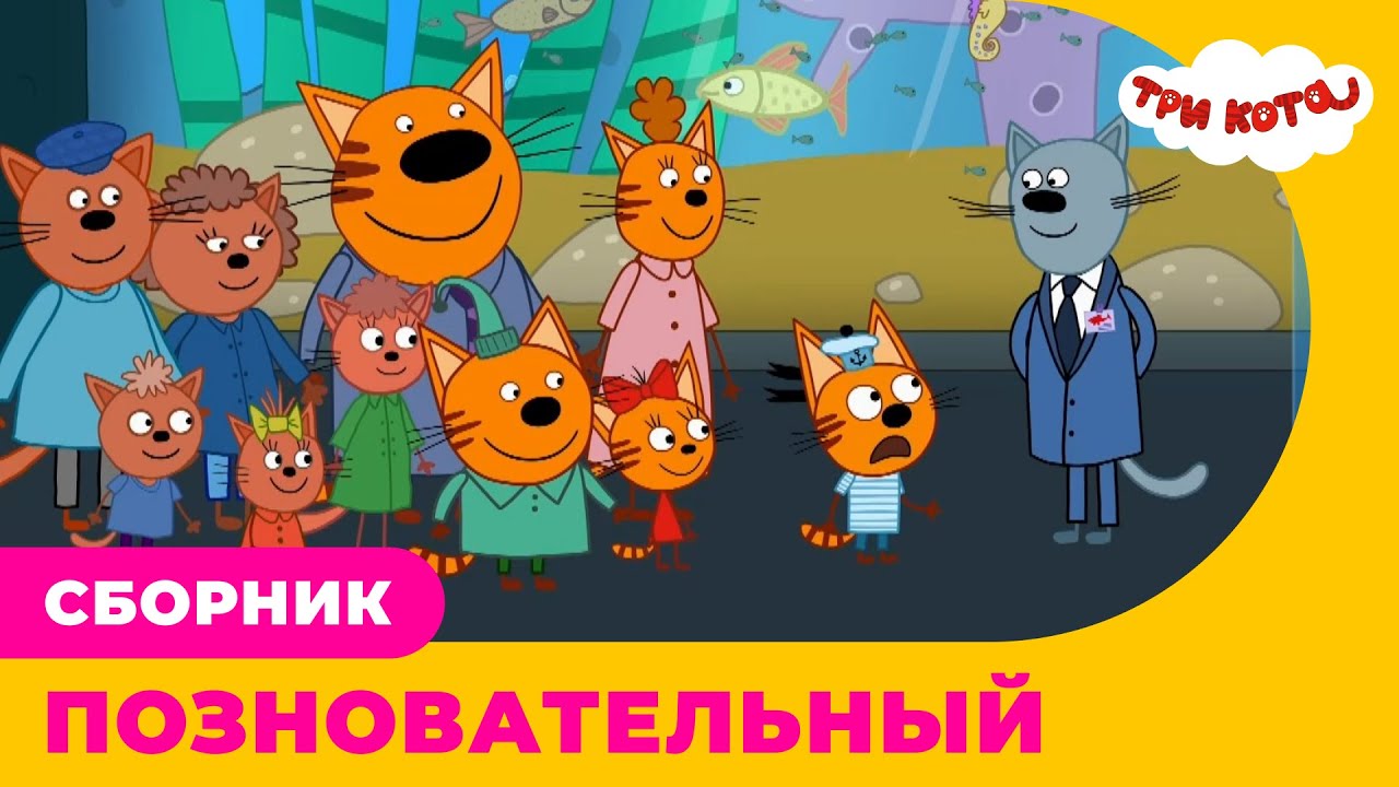 Три кота | Образовательный сборник познавательных серий