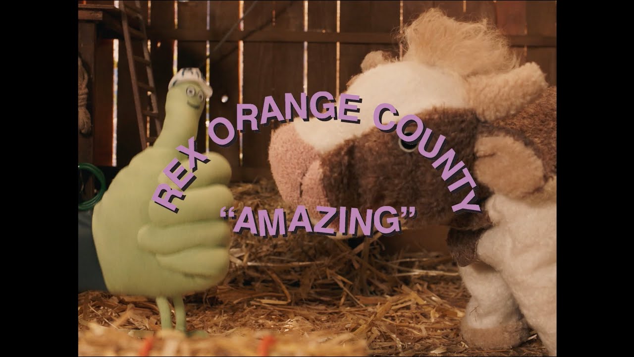 Rex Orange County - AMAZING (Official Video) 🎶