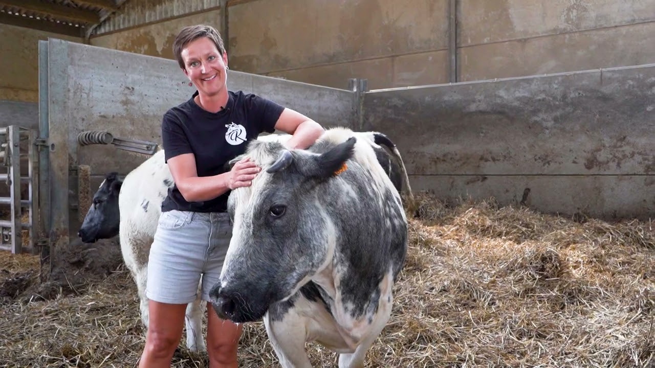 VILT TeeVee: Boerenstiel met hart en ziel - Veerle Buyens