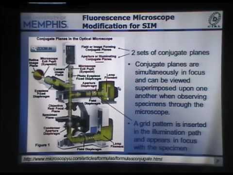 Structured Illumination Microscopy by C. Preza