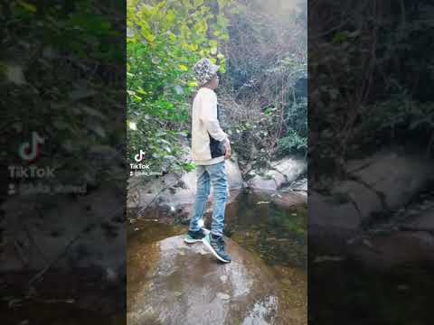 cheb mouiz 2021 tiktok