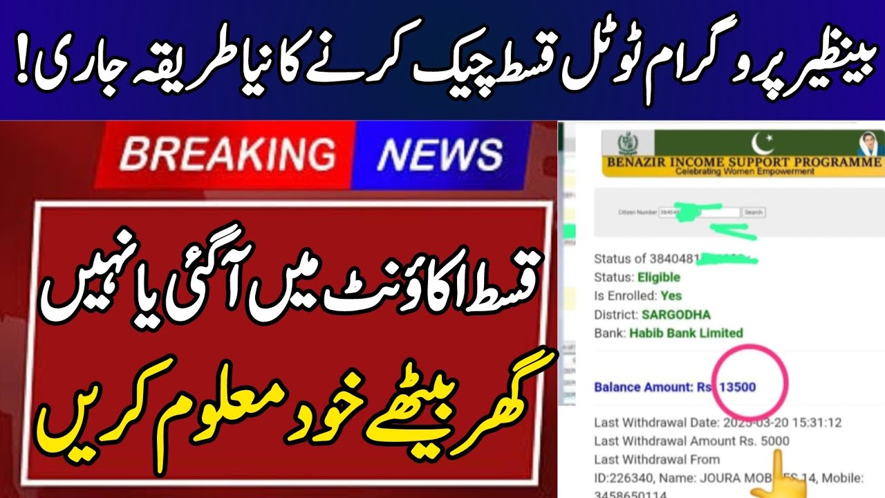 BISP Payment Check Ways | Bisp payment check by cnic | 8171 ke paise check | Benazir ke paise check